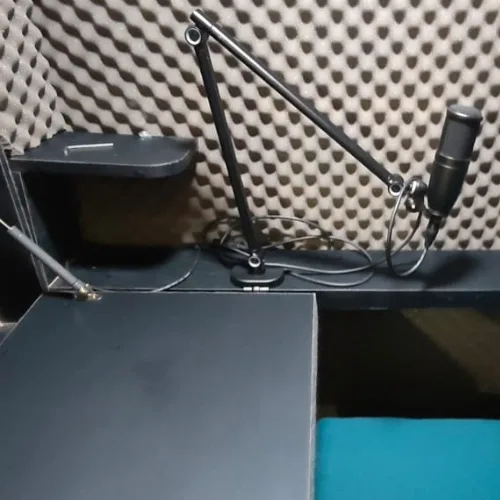Voice